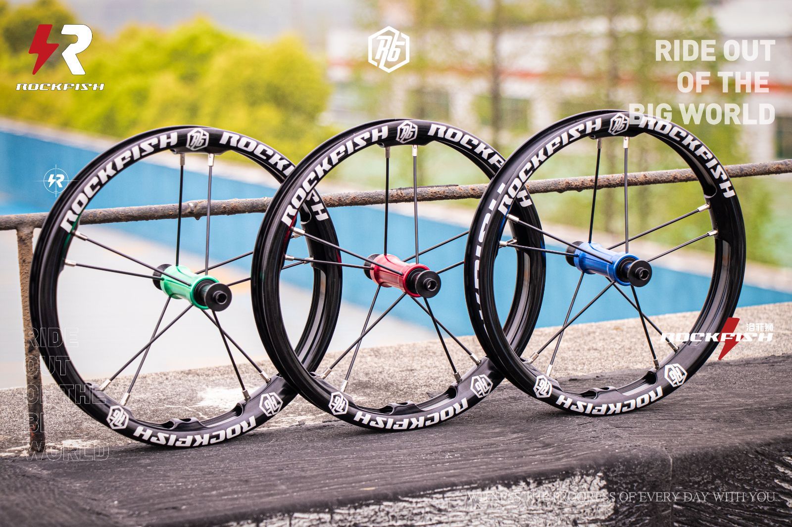 偽物・再生品・類似品に注意！】数量限定 ROCKFISH ロックフィッシュ