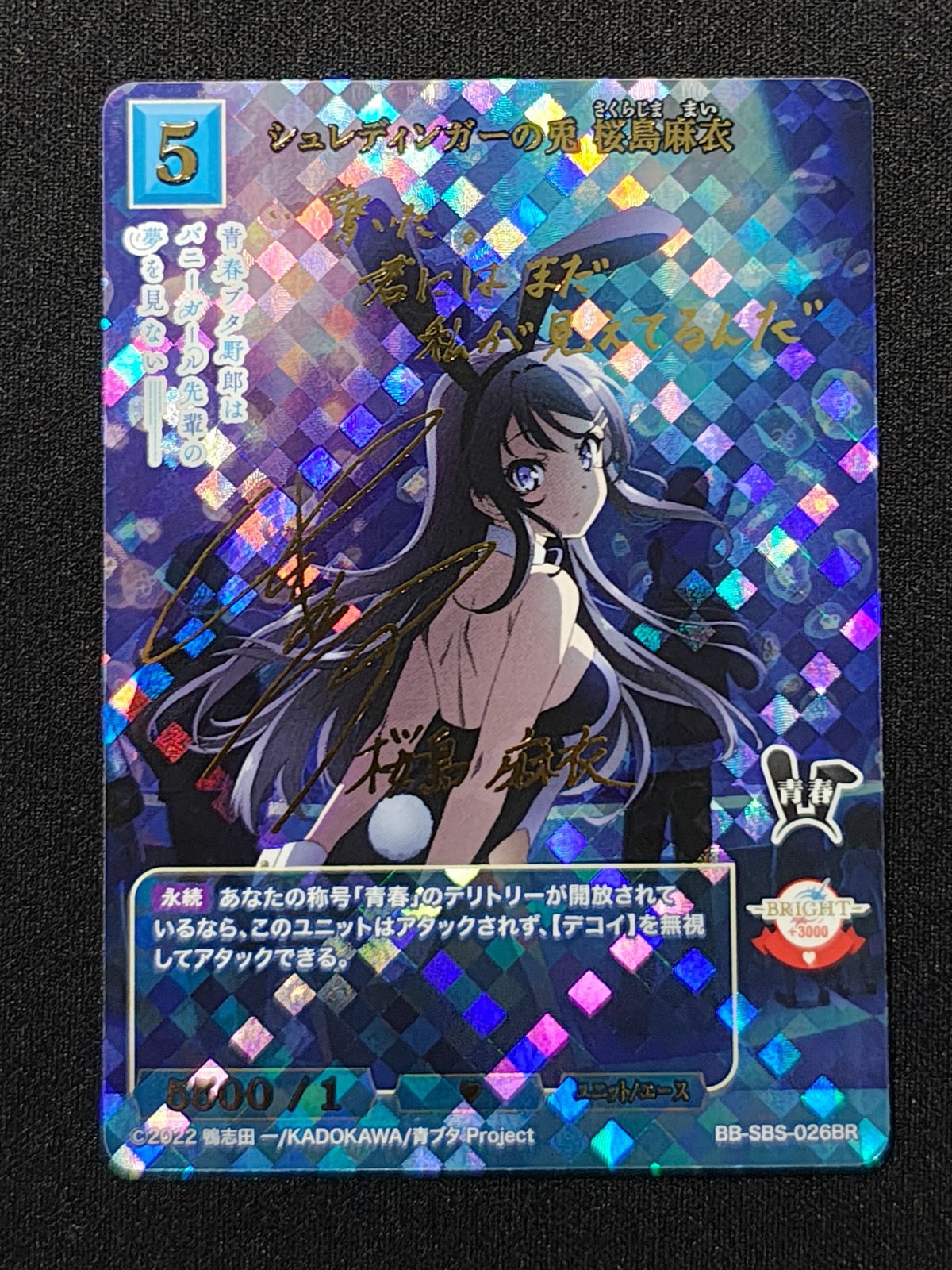 シュレディンガーの兎 桜島麻衣 br ビルディバイド青ブタ - メルカリ