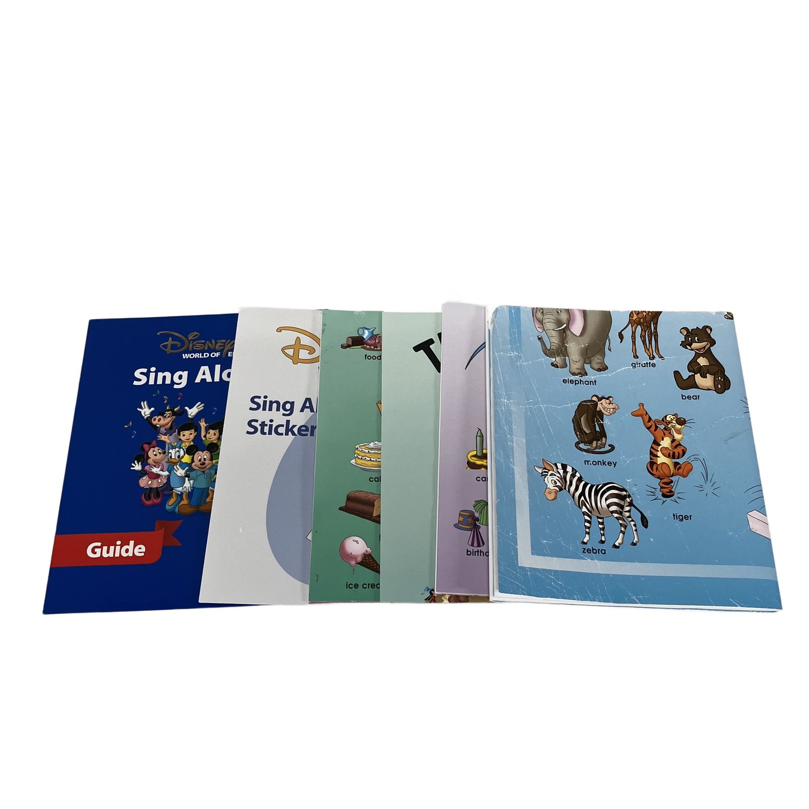 DWE シングアロング DVD 2018年頃 ディズニー ワールド イングリッシュ