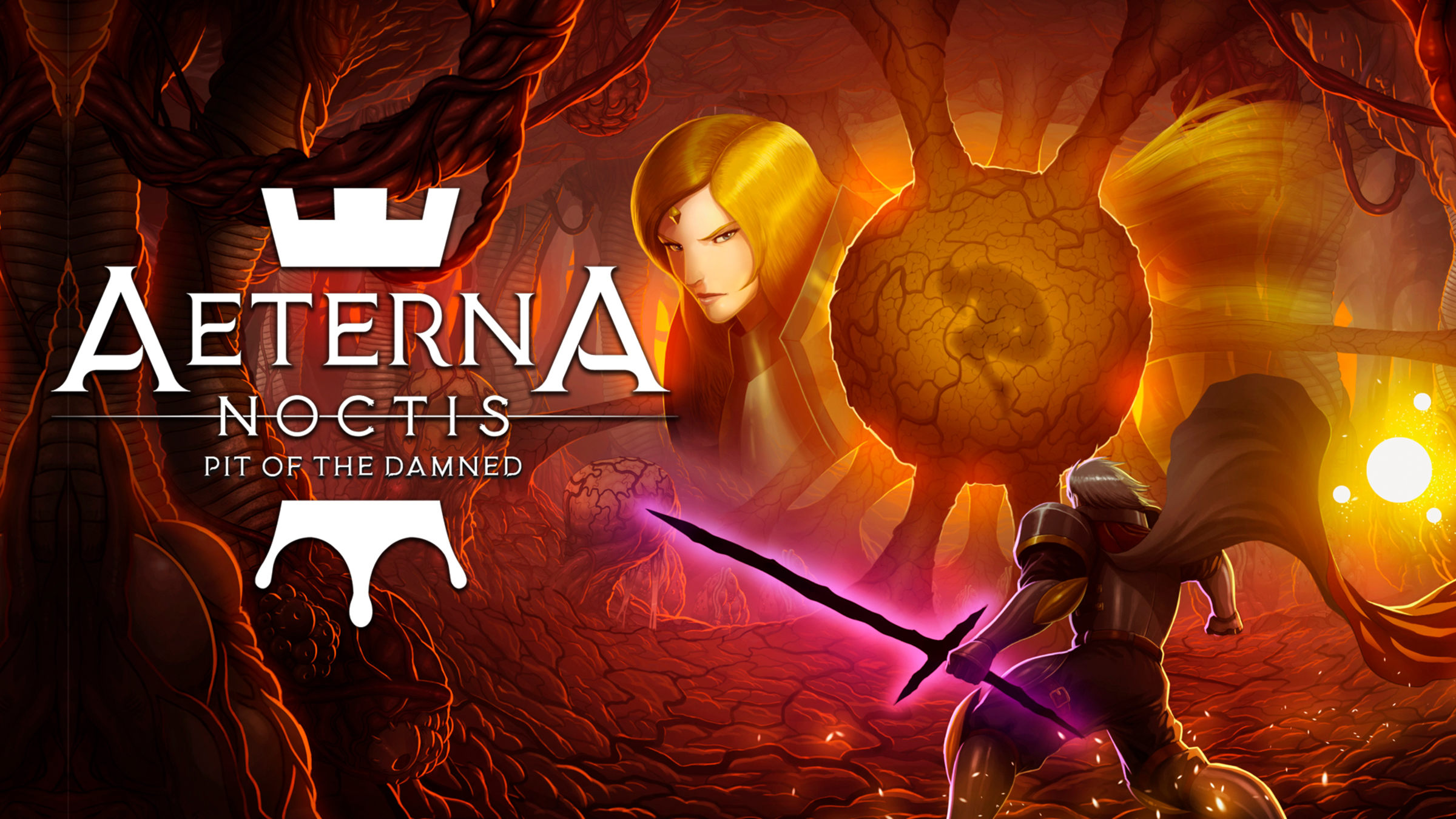 Aeterna Noctis 新品未開封 switch エテルナ・ノクティス