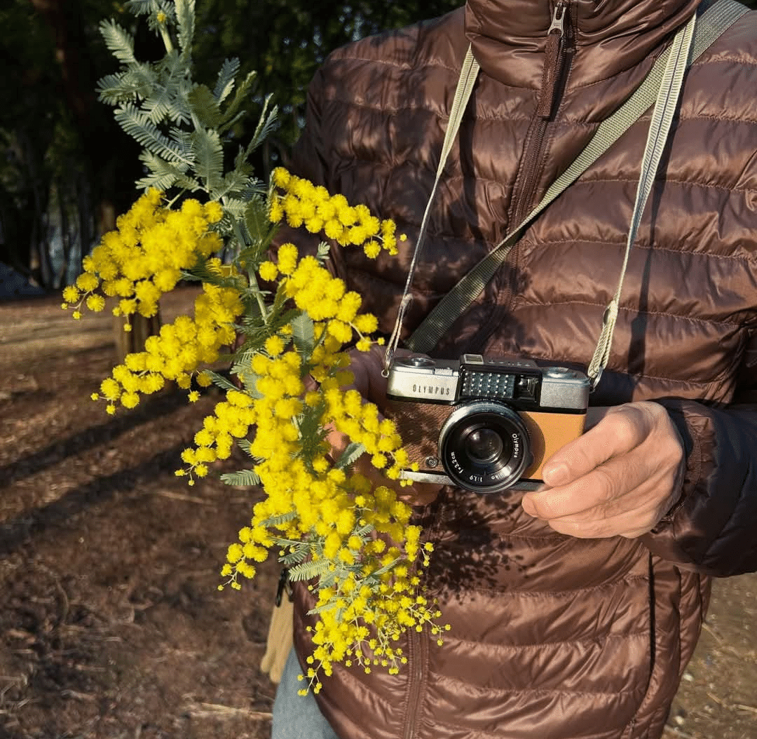 OLYMPUS Pen-Dの撮影見本｜ごん色カメラ