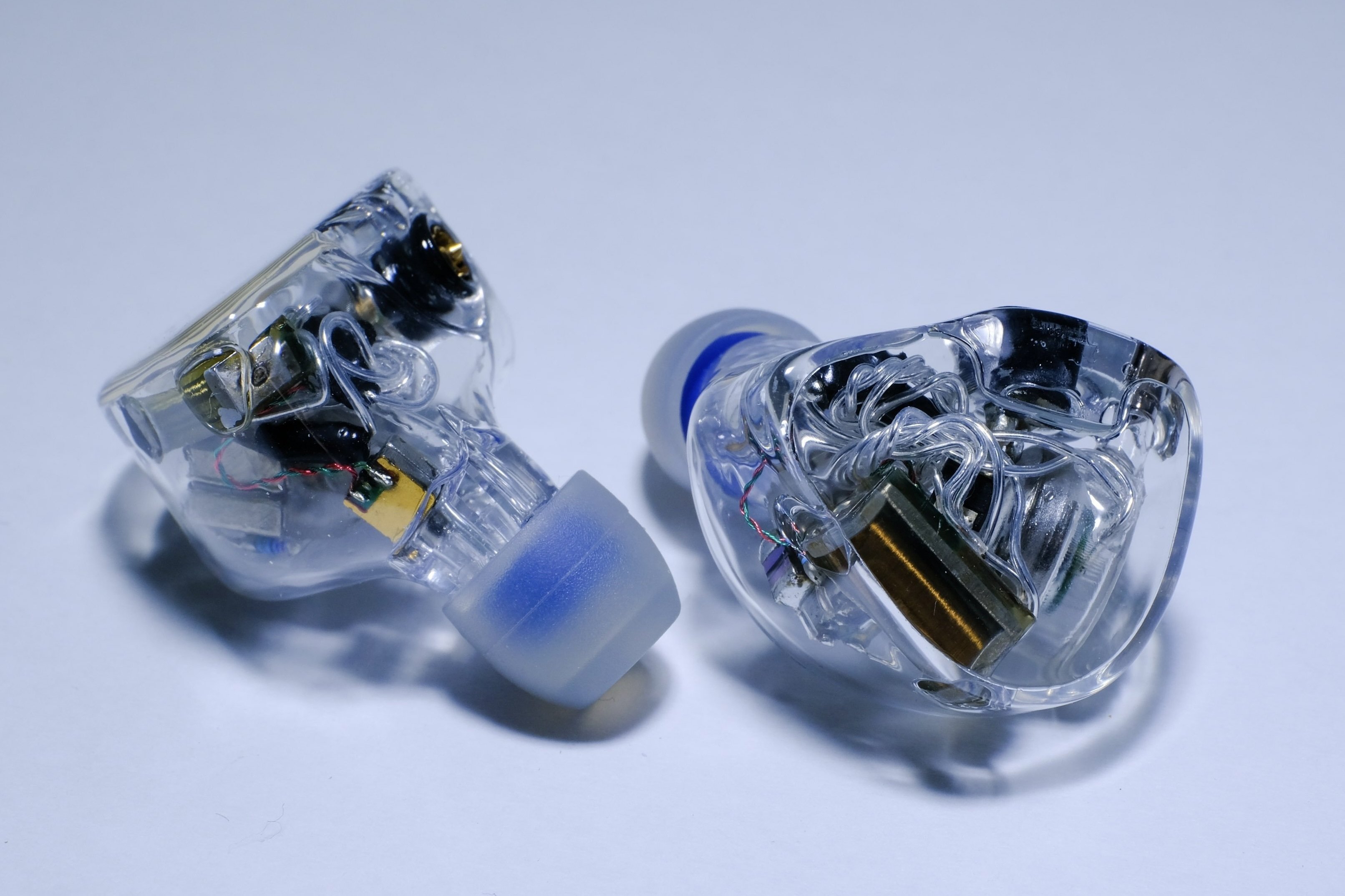 作例紹介】Reshell - Elysian Acoustic Labs Annihilator ユニバーサル