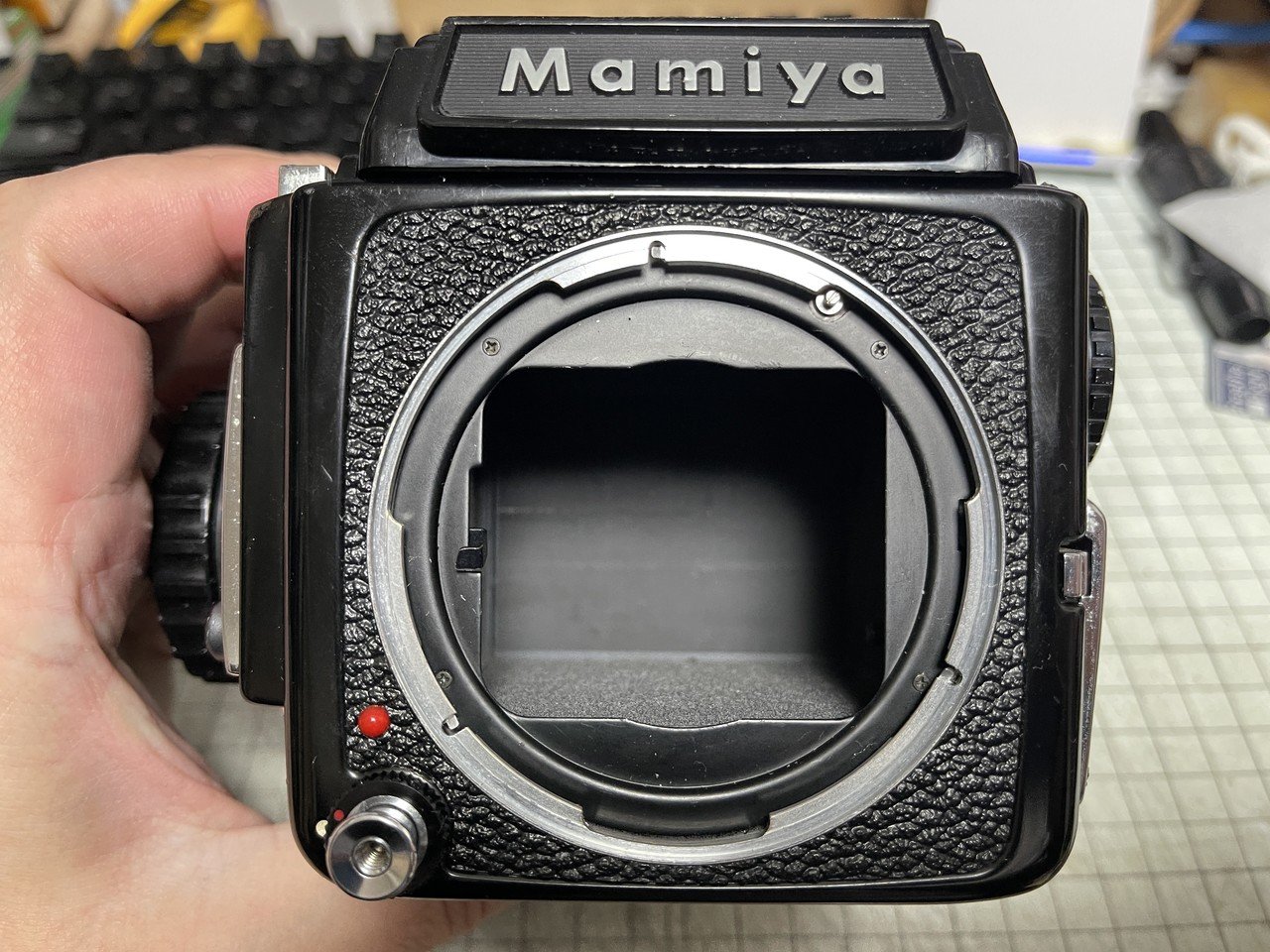 Mamiya M645 Impression｜怪力熊男