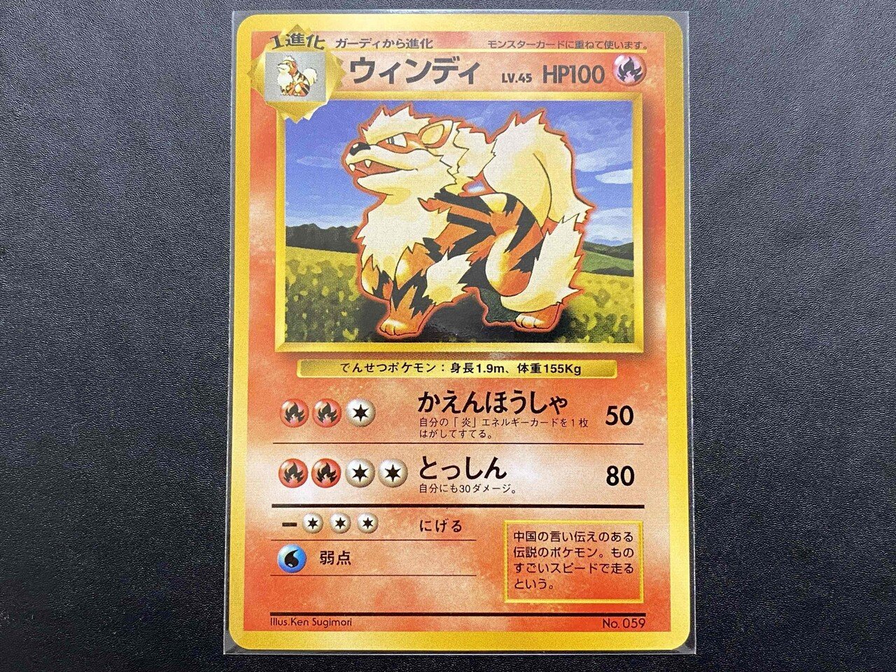 あなたの知らない旧裏面 初版カードの世界｜せとうちレモン