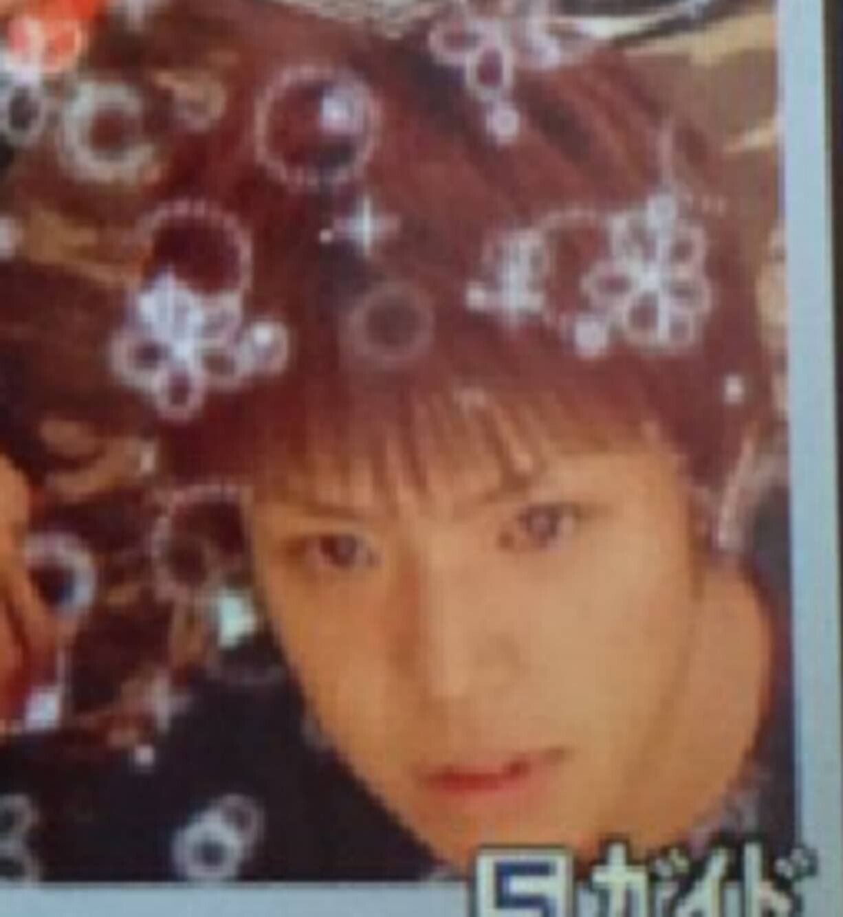 ささぼーファミリー調査メモ｜おぺらひぎつね