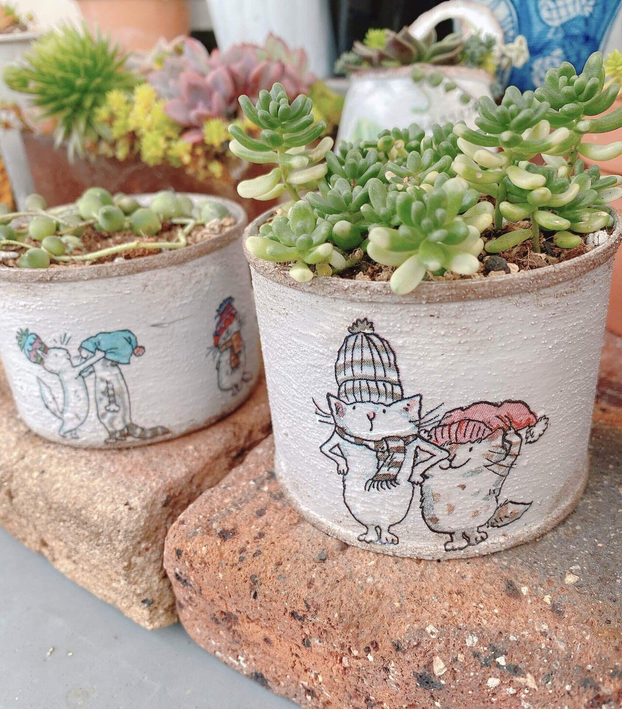 リメイク鉢作ってみた｜hika@m