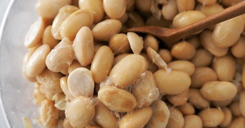 玄米で作る/自家製納豆・豆乳ヨーグルトレシピ｜とと🌻無理しない暮らし