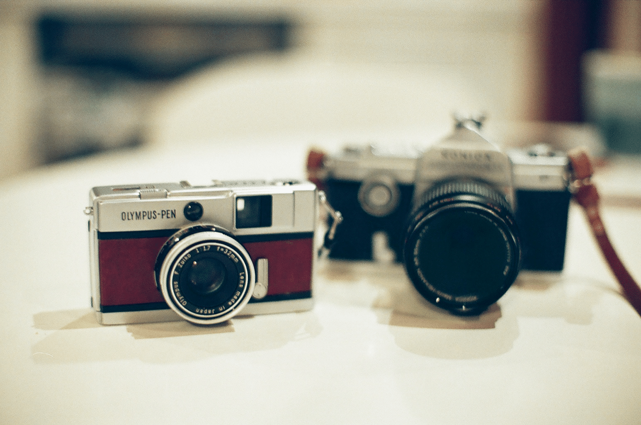 ハーフサイズのEED｜sgk