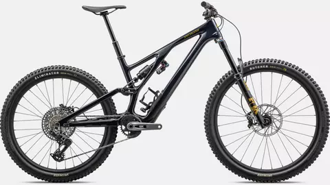 Stumpjumper EVO Expert - SRAM GX AXS, FOX Performance Elite