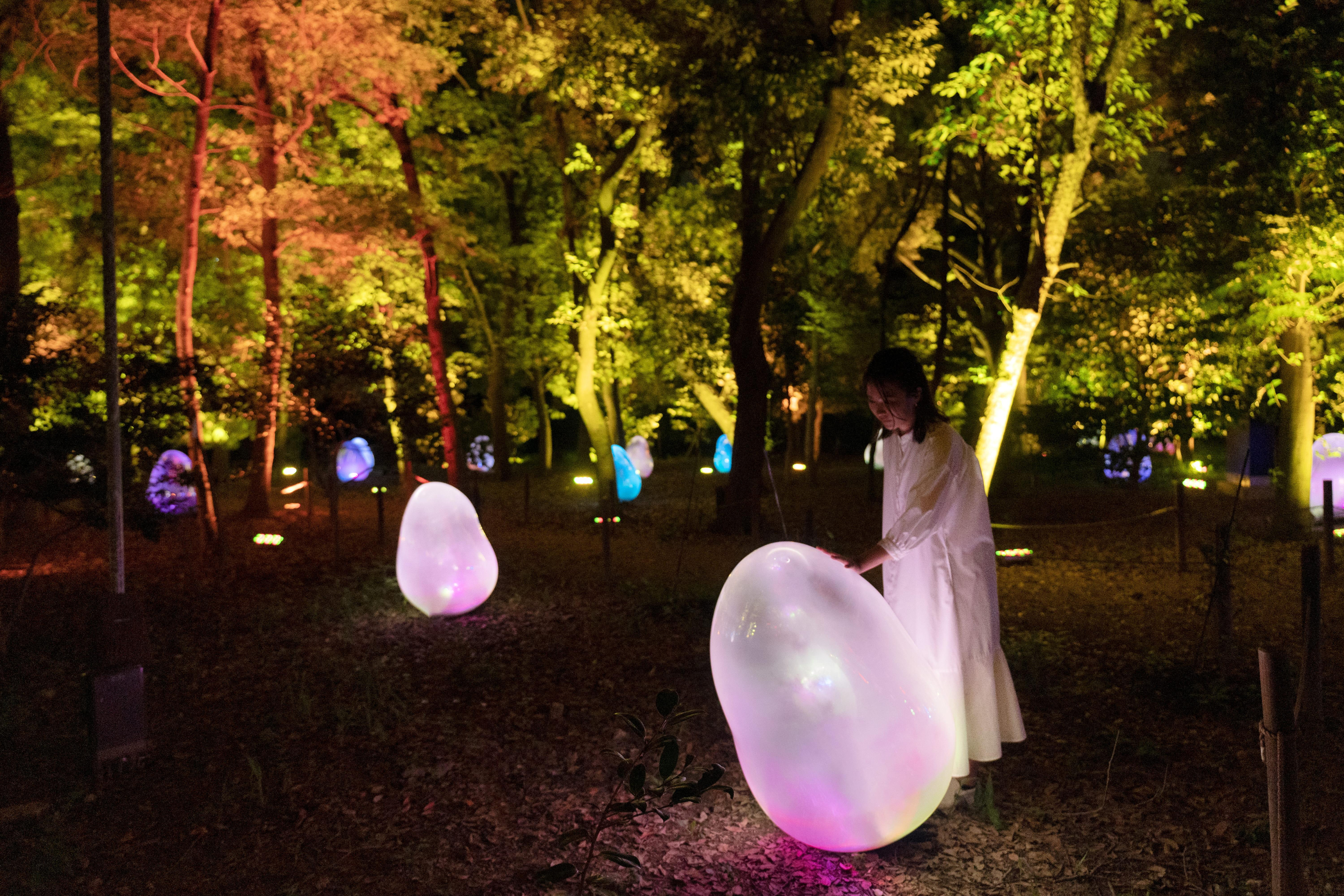 公式】チームラボ ボタニカルガーデン 大阪 | 常設展