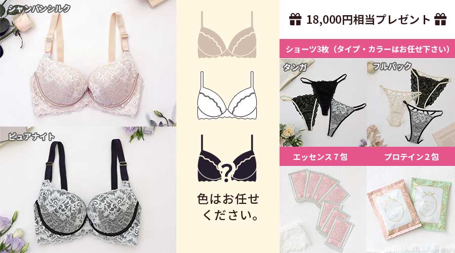 美胸ブラジャー販売ページ | 表参道バストサロンCOCIA