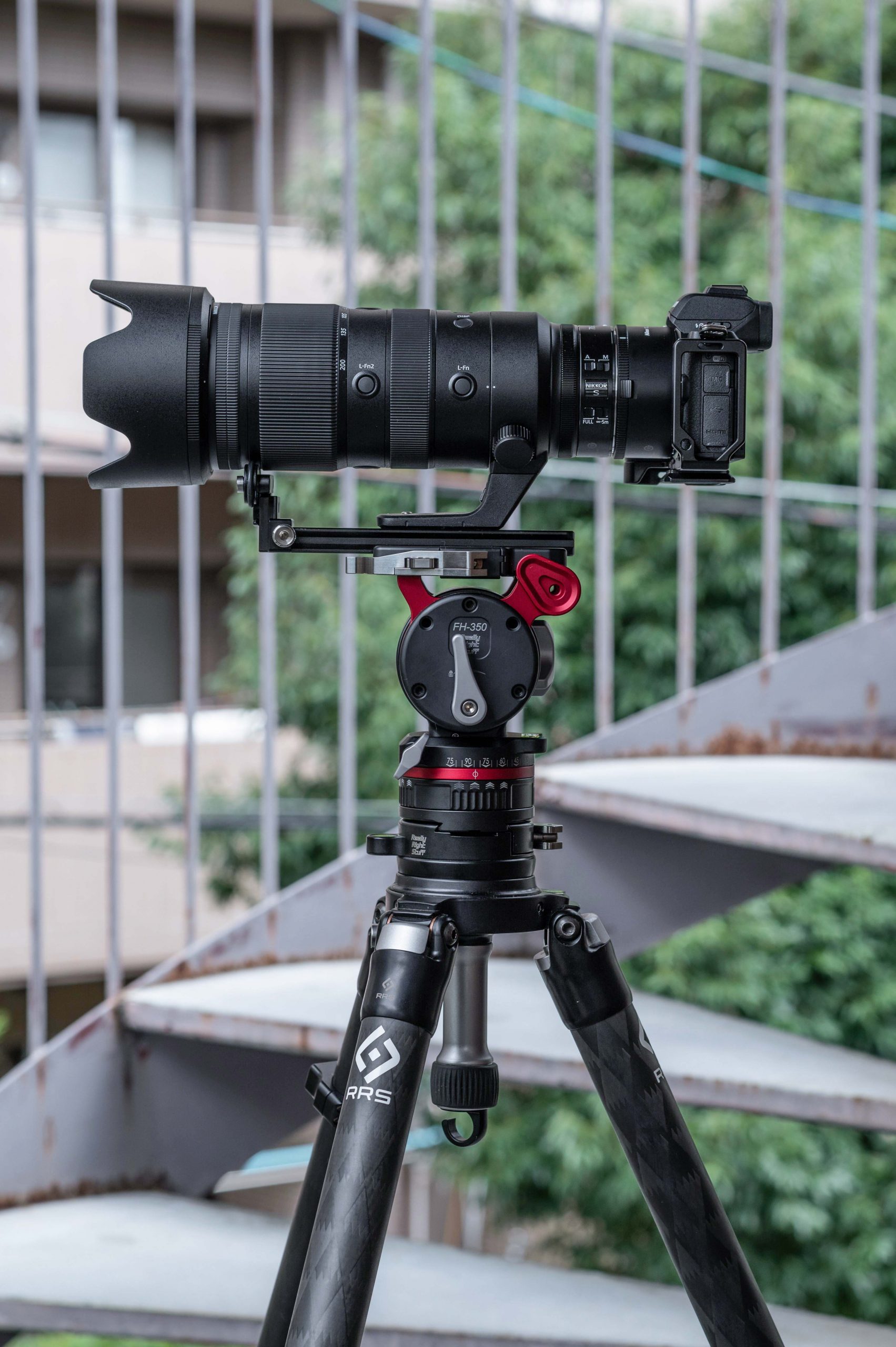 レンズレビュー】NIKKOR Z 70-200mm f/2.8 VR S スペック紹介と作例と