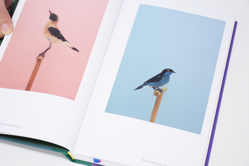 アート・デザイン・音楽 Luke Stephenson アート・デザイン・音楽 Luke