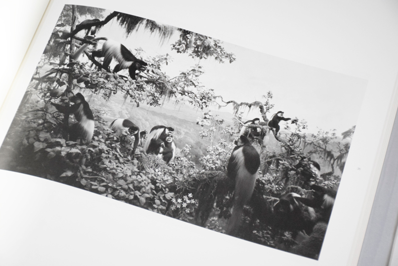 Dioramas / 杉本博司 Hiroshi Sugimoto ON READING Online Shop