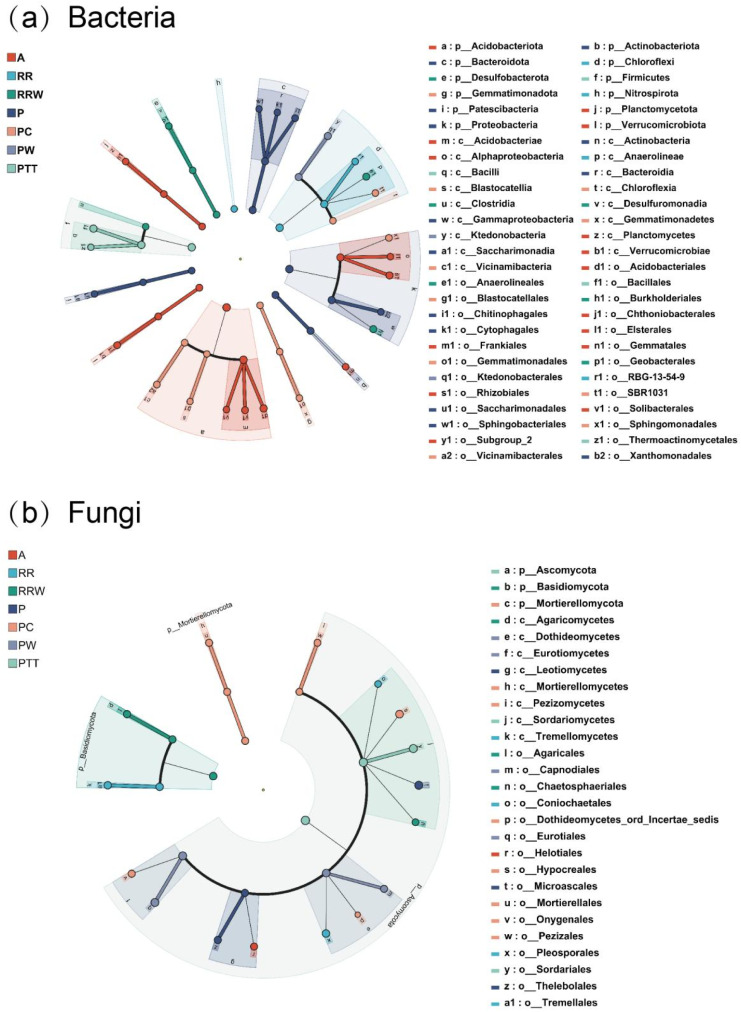 Soil microbial functional composition in response to planting