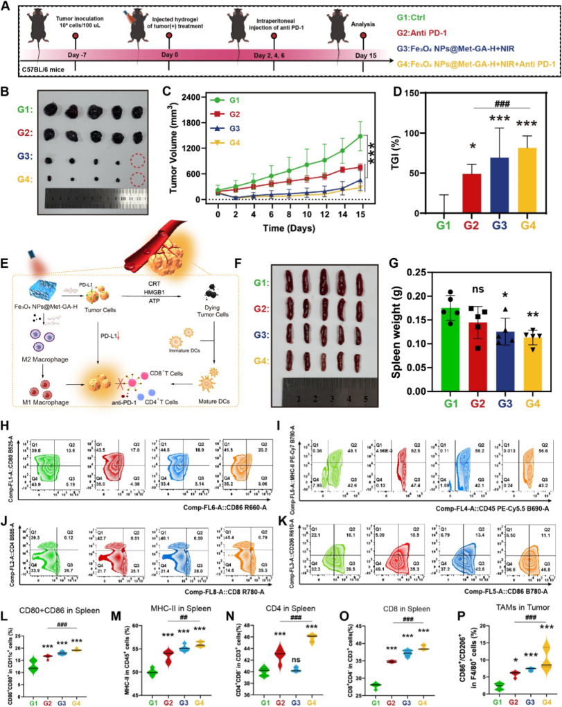 Metformin glycyrrhetinic acid binary injectable hydrogel for