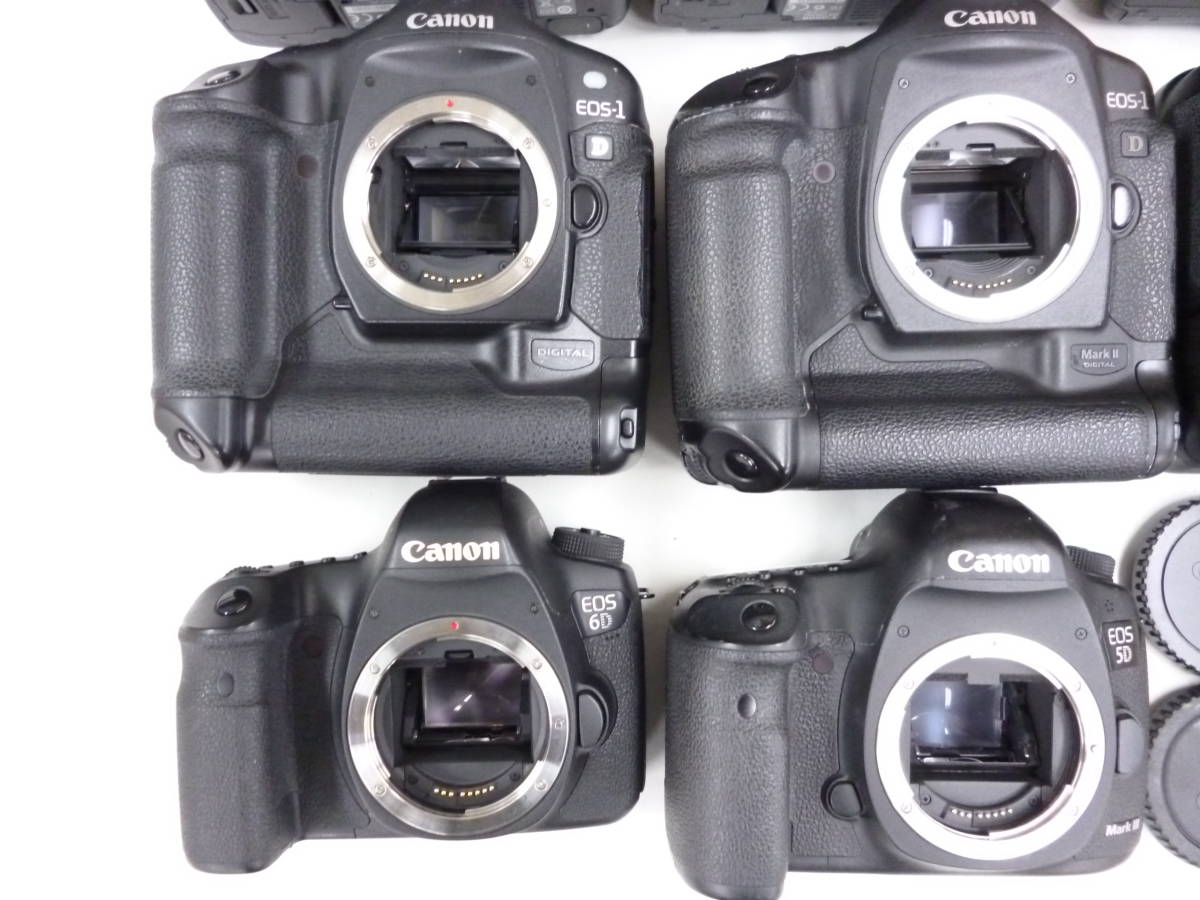 ジャンク Canon EOS 5D MarkⅢ 5D 6D 7D 1D 1D Mark Ⅱ キヤノン