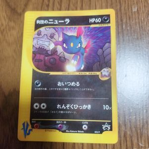 R団のニューラの値段と価格推移は？｜13件の売買データからR団の