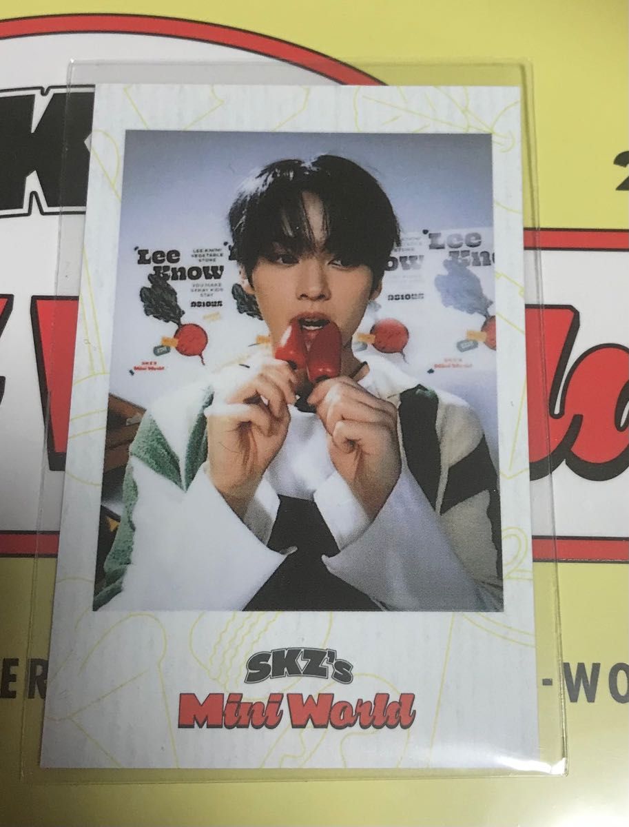 リノ ポラロイド シーグリ 2023 ポラ チェキ スキズ straykids Stray