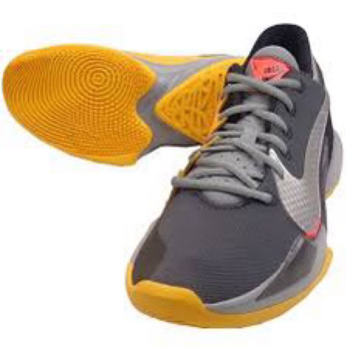 ナイキ（NIKE）（メンズ）バスケットシューズ ズームフリーク2 CK5424