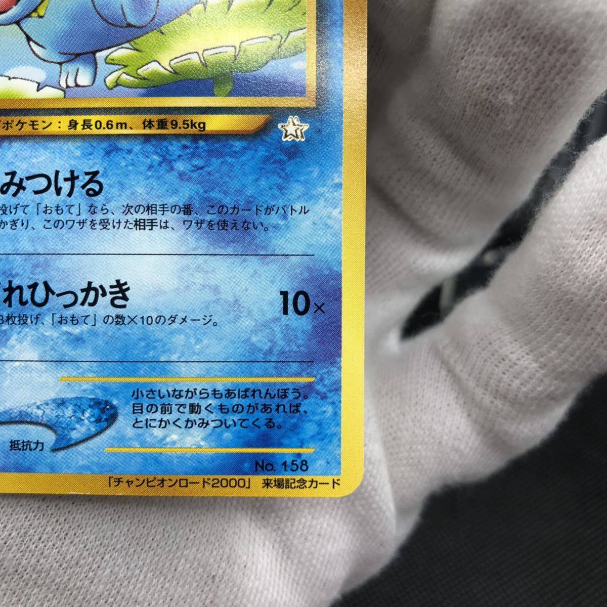 ポケモンカード 旧裏面 旧裏 ワニノコ チャンピオンロード2000｜Yahoo