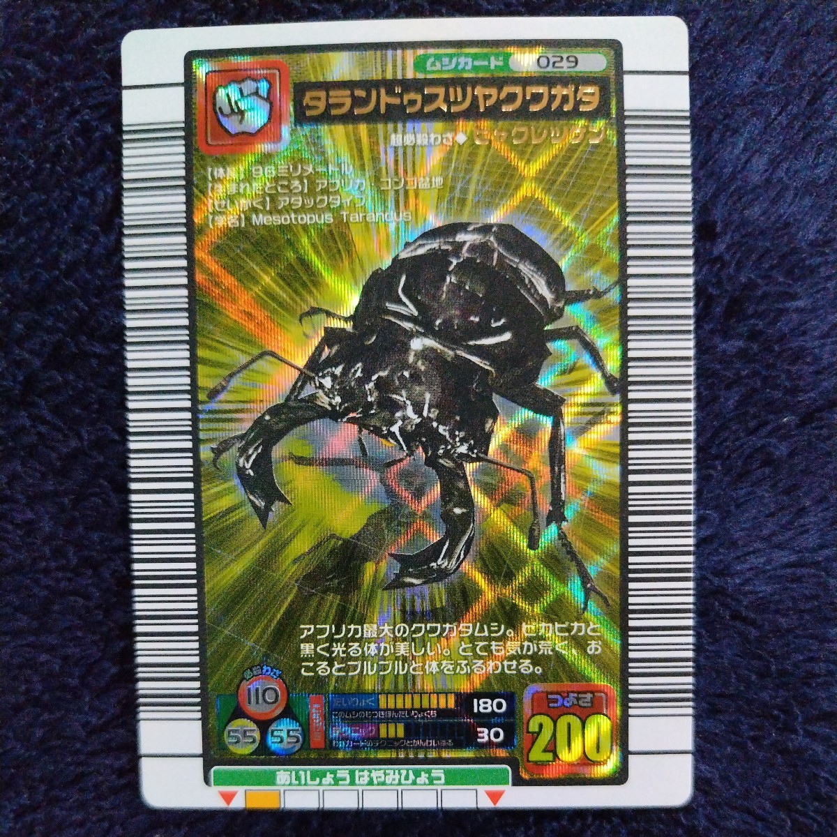 Yahoo!オークション - 甲虫王者ムシキング 2005 ファースト タランド