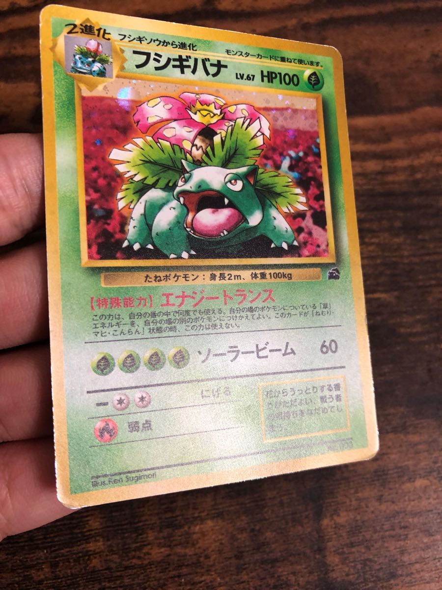 ポケモンカード フシギバナ エナジートランス 旧裏面 キラ｜Yahoo