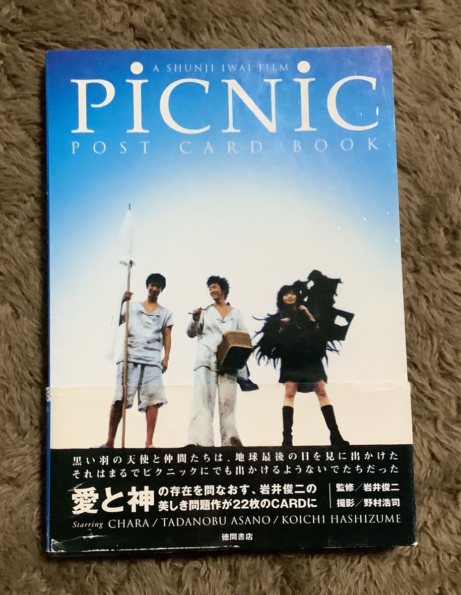 絶版Picnic post card book浅野忠信 CHARA 橋爪浩一