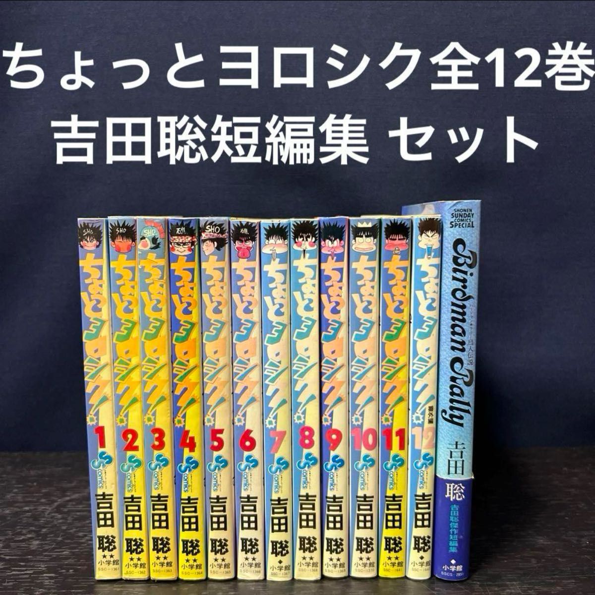 ちょっとヨロシク 全巻 1〜12巻 番外編 短編集 セット まとめ売り 本
