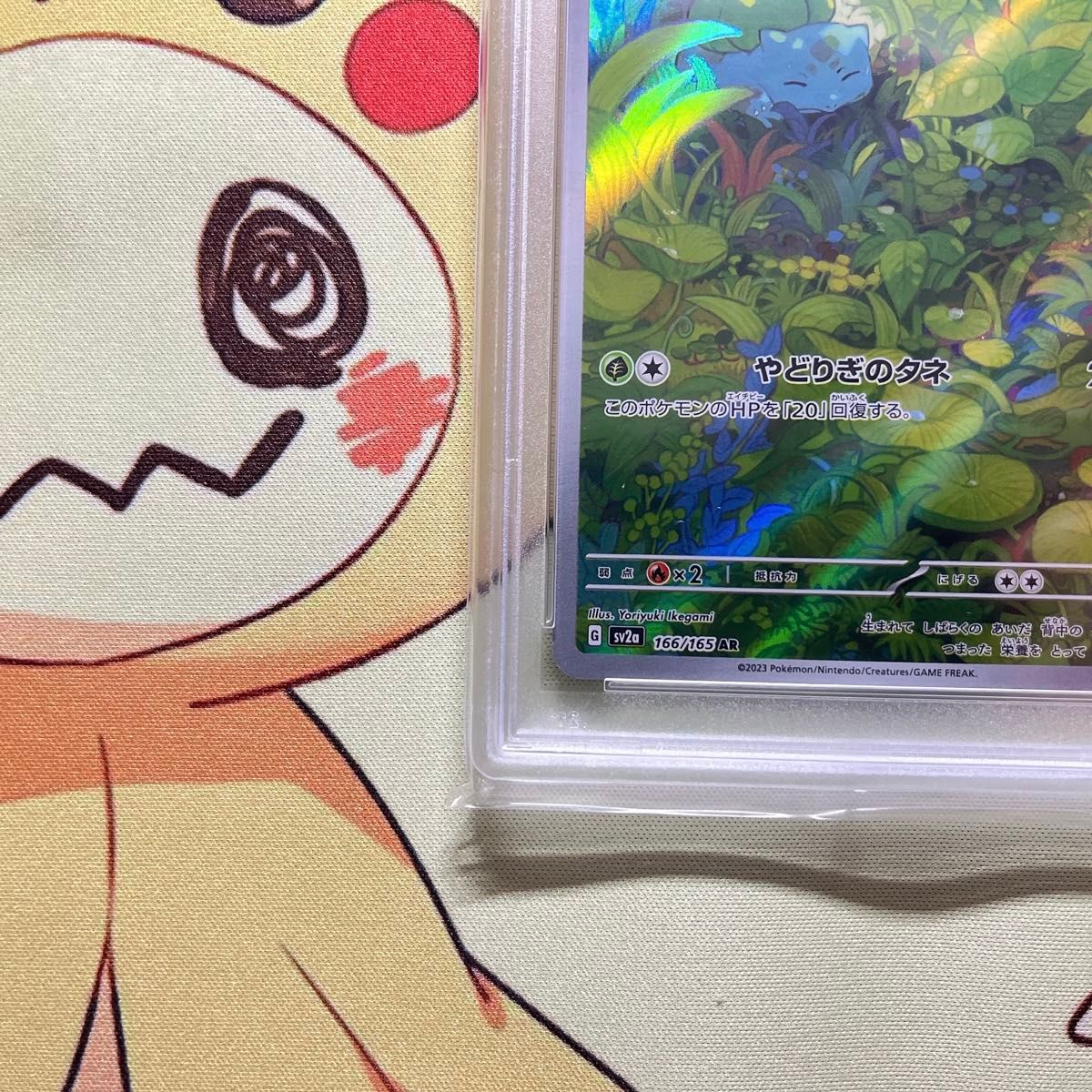 PSA10 フシギダネ AR ポケモンカード151｜Yahoo!フリマ（旧PayPayフリマ）