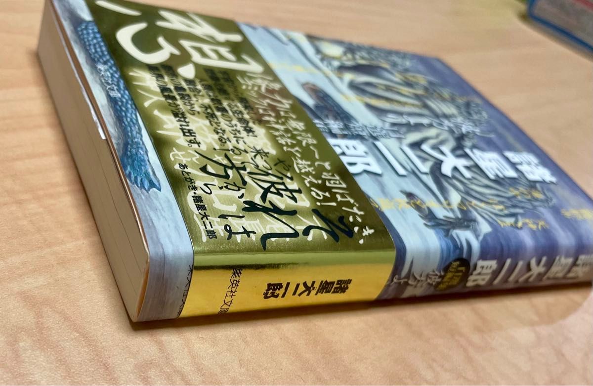 諸星大二郎 彼方より 帯付き美品初版｜Yahoo!フリマ（旧PayPayフリマ）