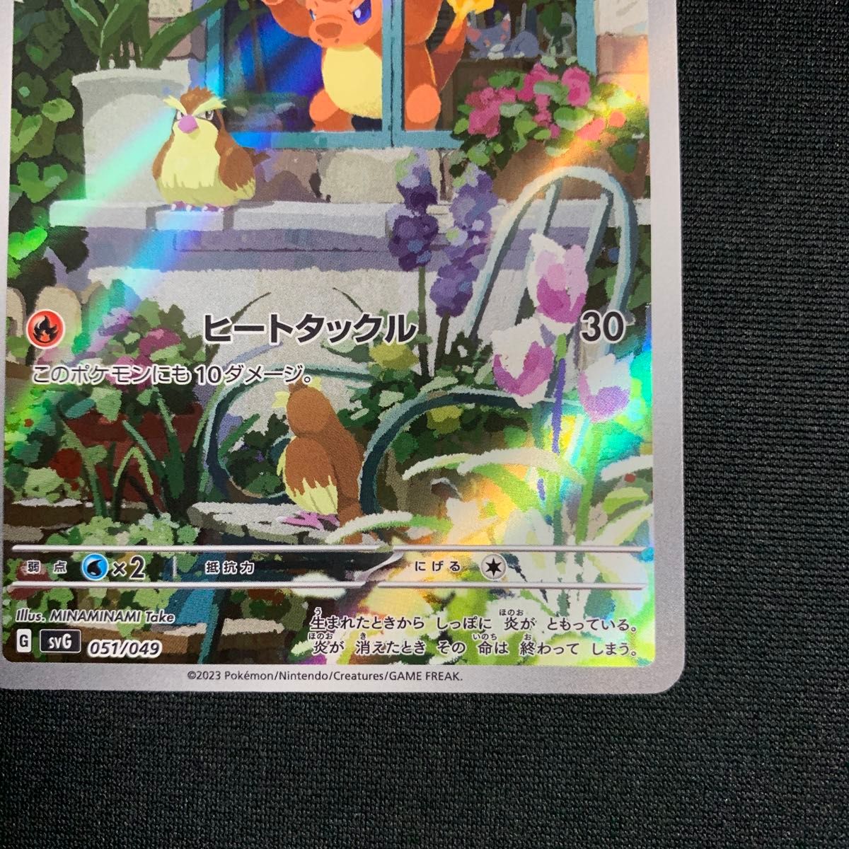 ヒトカゲ AR フルイラスト スペシャルデッキセットex ポケカ｜Yahoo