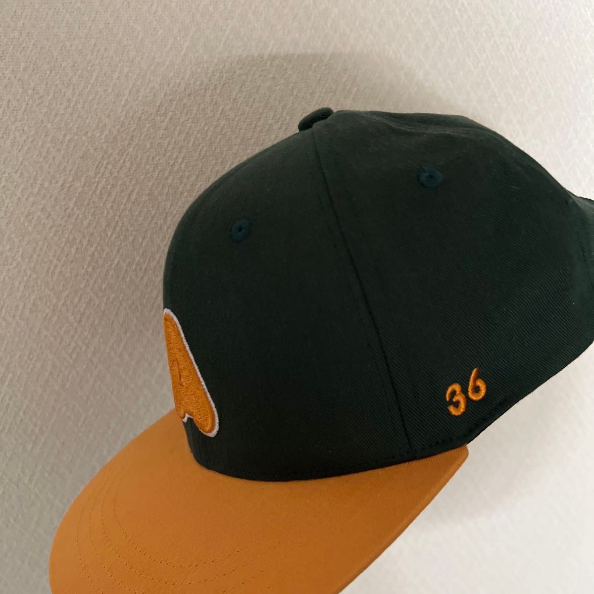 あいみょん 2022年 阪神甲子園球場ライブ サーチライト AIMYONS 公式