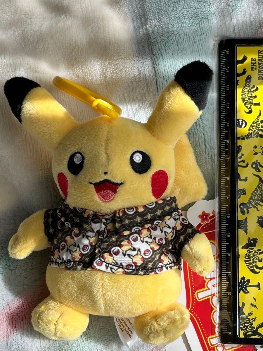 バティックシャツを着た ピカチュウ インドネシア バリ島 ポケモンgo