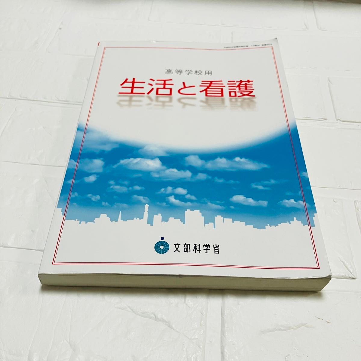 看護学入門 13冊 メヂカルフレンド社 高等学校用 老年看護 成人看護