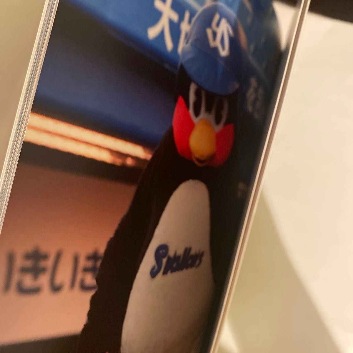 新品】つば九郎goods2点セット(つばPhoto Book ケース入り・つば九郎