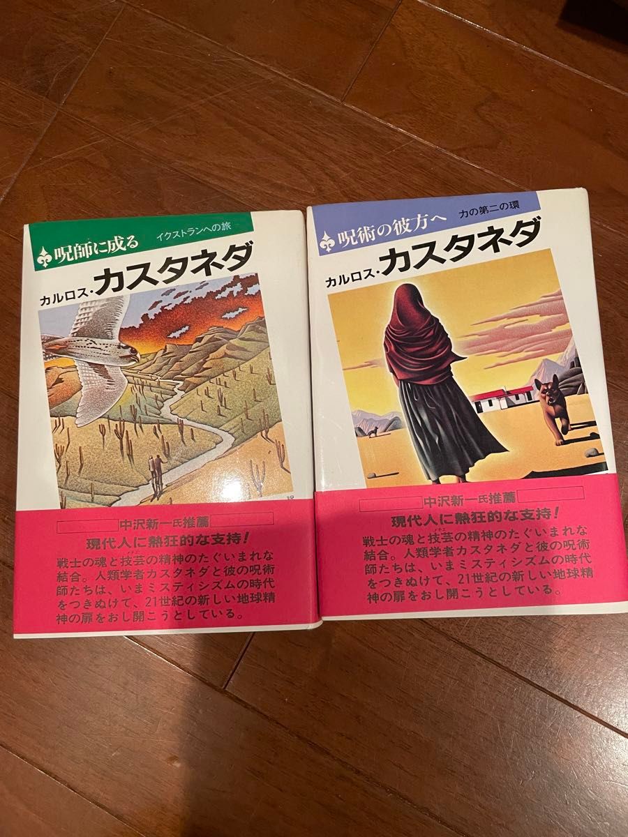 カルロスカスタネダ 8冊まとめ 沈黙の力/夢見の技法/呪術と夢見/意識へ