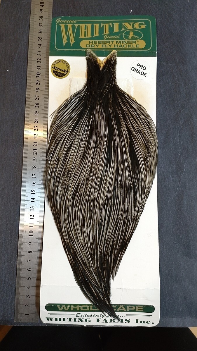 Yahoo!オークション - ヒーバート スペックルドバジャー プログレード