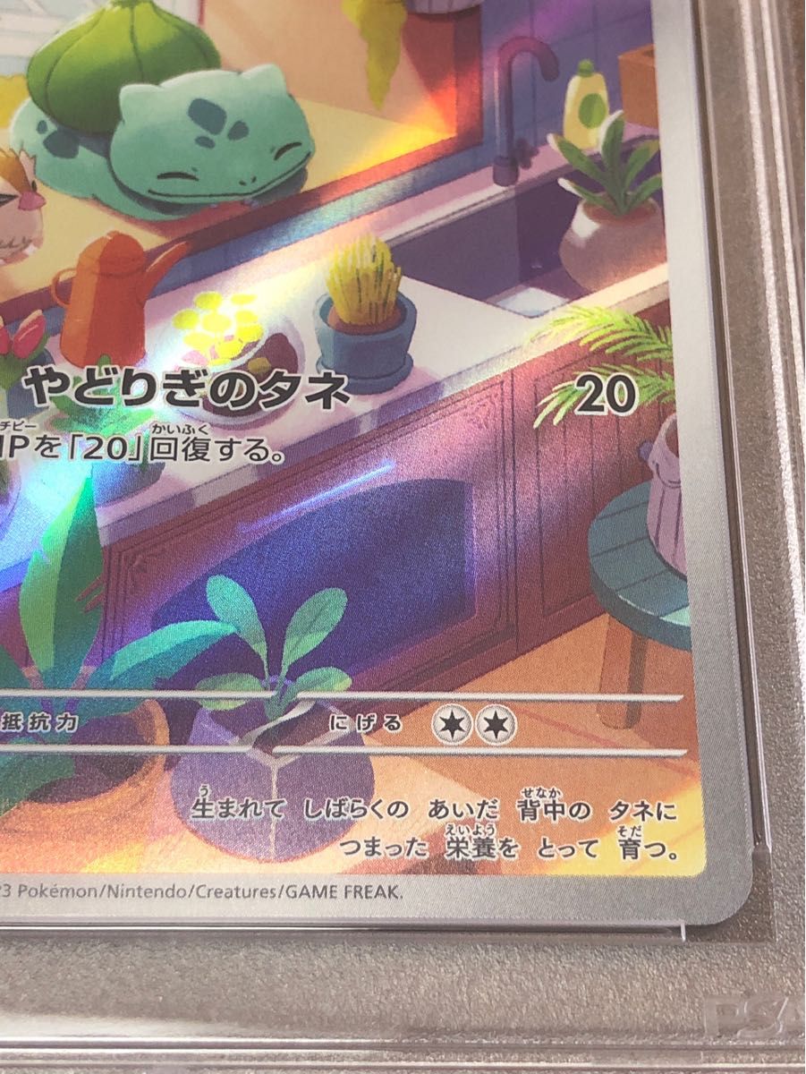 ポケモンカード フシギダネ AR PSA10 スペシャルデッキセットex｜Yahoo