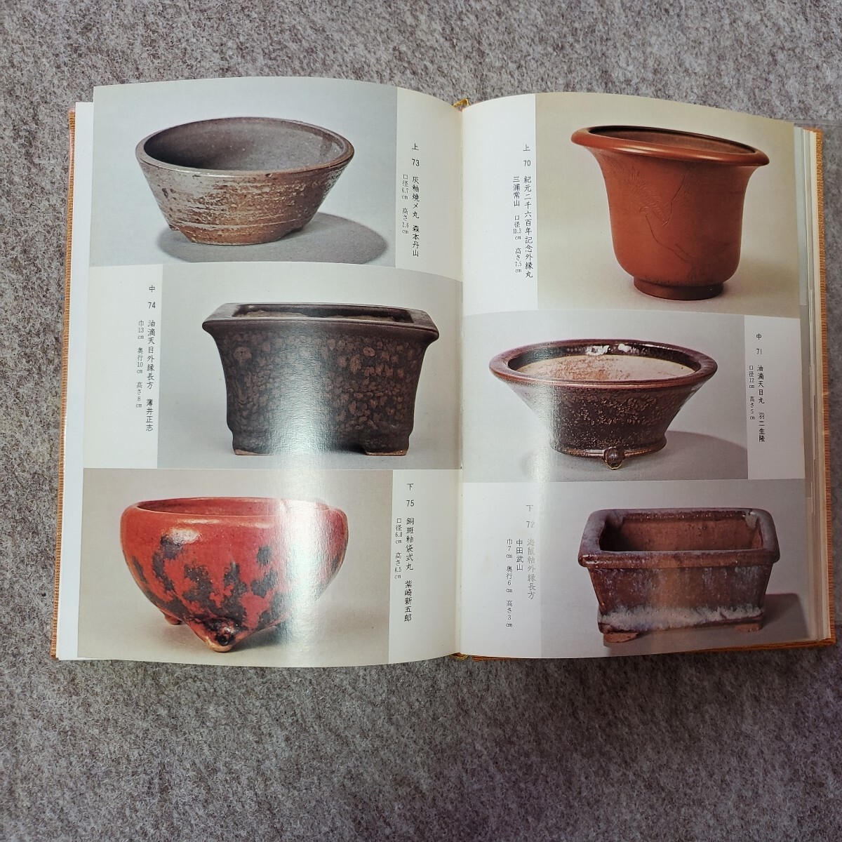 Yahoo!オークション - 盆栽小鉢の面白味(本) #ミニ盆栽 小盆栽 盆栽鉢