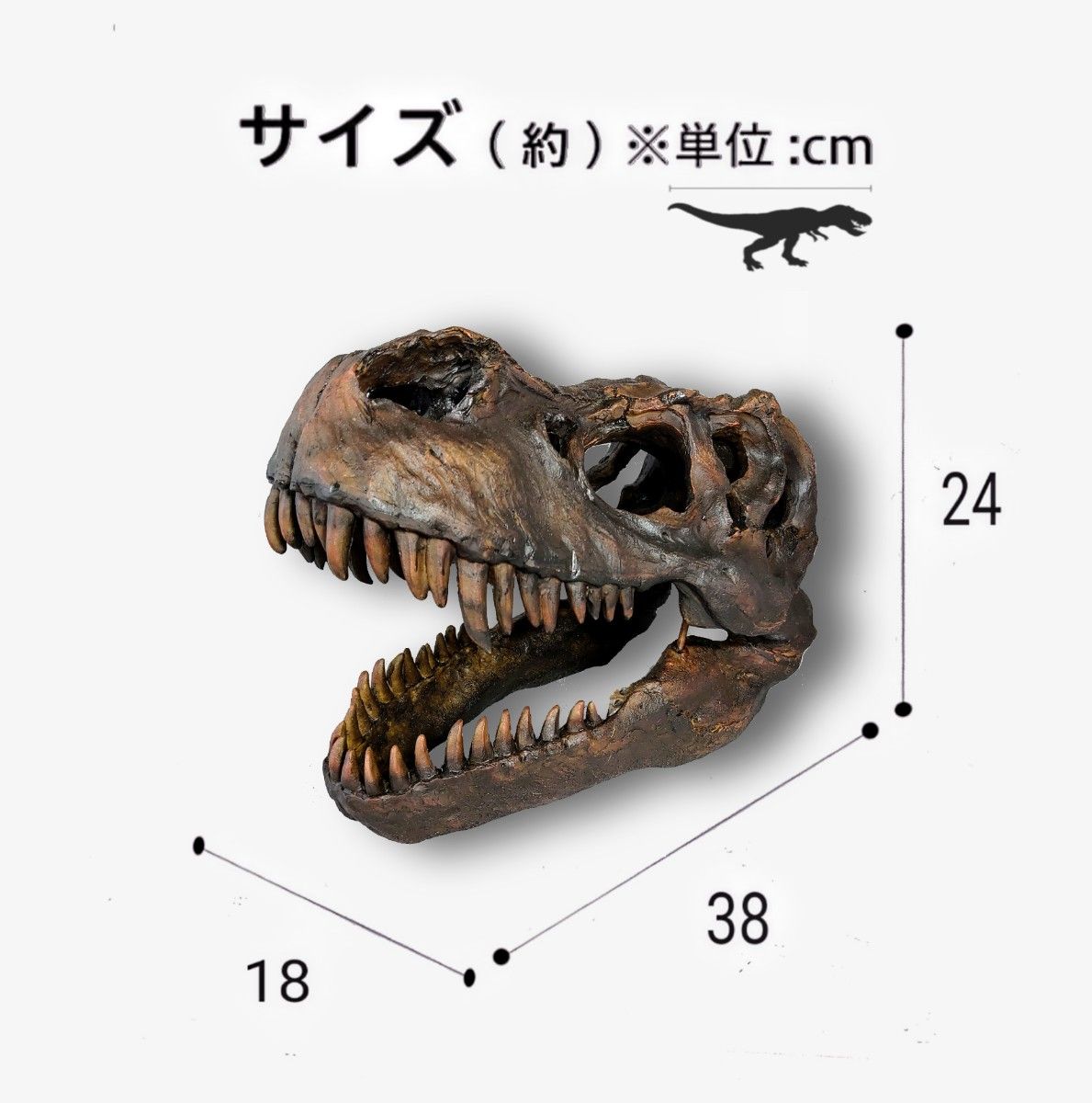 DINOWORLD】ティラノサウルス T-REX 頭骨 化石 インテリア オブジェ