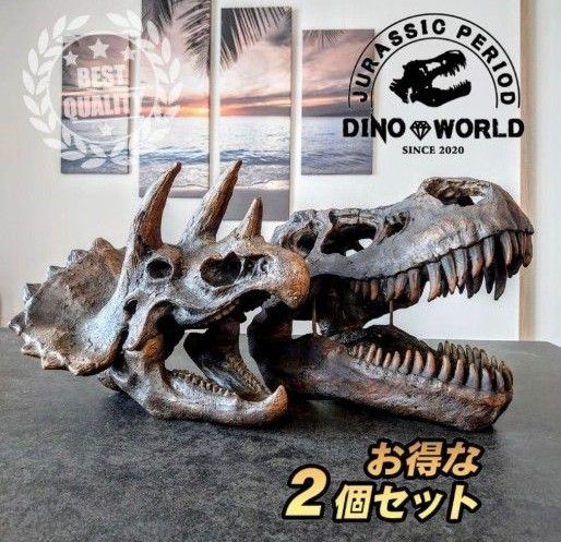 お買い得 ティラノサウルス トリケラトプス 頭骨 2個セット 恐竜の化石