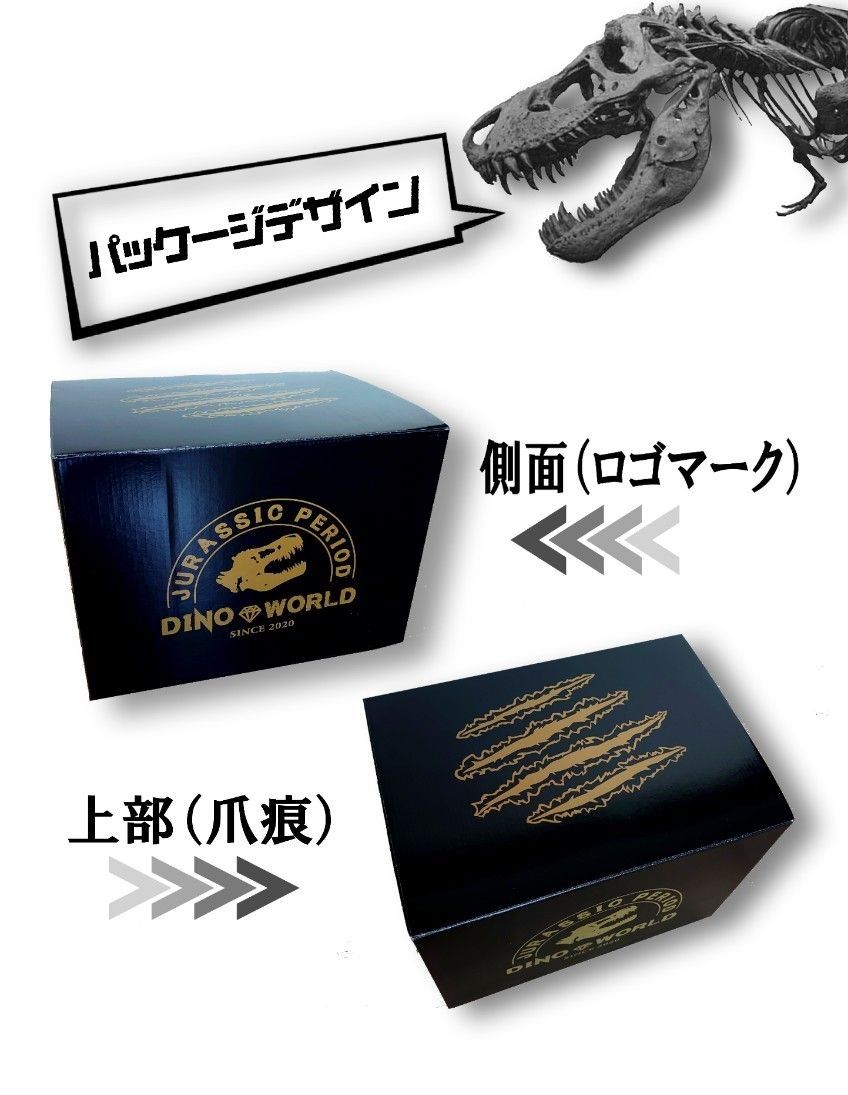 DINOWORLD】ティラノサウルス T-REX 頭骨 化石 インテリア オブジェ