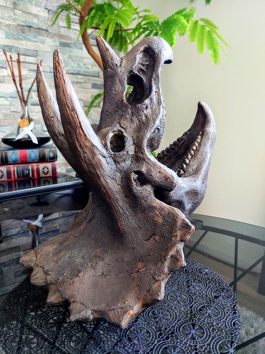 お買い得 ティラノサウルス トリケラトプス 頭骨 2個セット 恐竜の化石