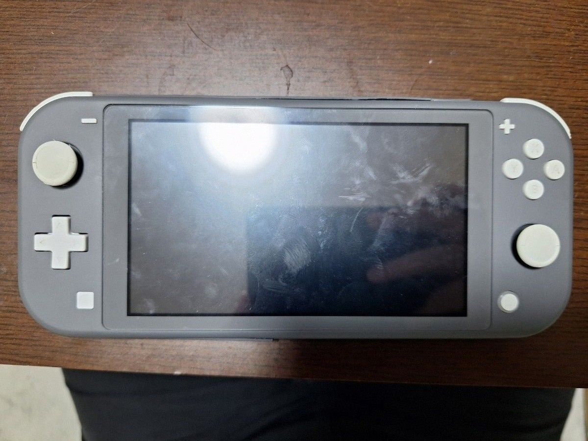 Nintendo Switch Lite ジャンク｜Yahoo!フリマ（旧PayPayフリマ）