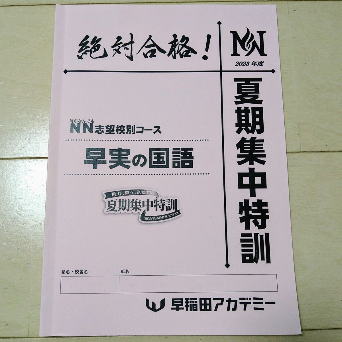 早稲田アカデミー NN志望校別[夏期集中特訓]早実クラス 2024年受験用