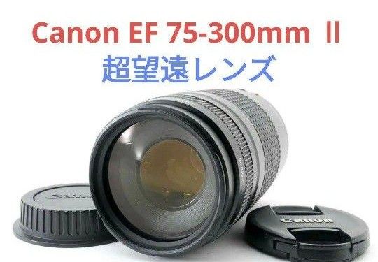 9月4日限定価格 Canon EF 75-300mm Ⅱ 超望遠レンズ｜Yahoo!フリマ（旧