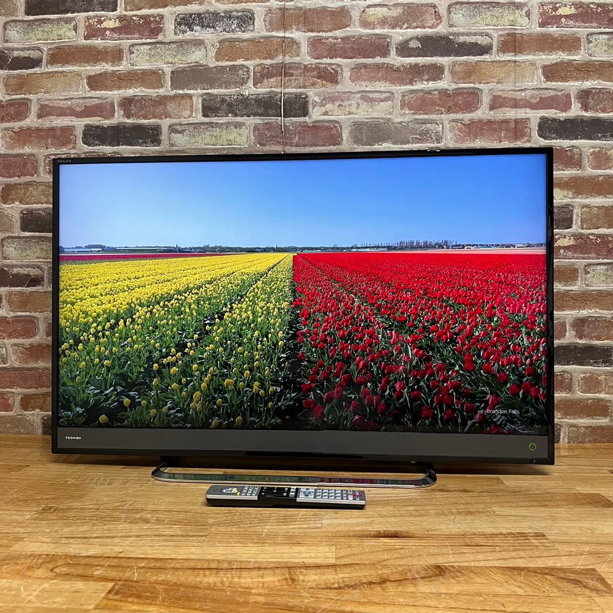 東芝 50インチ 4K 液晶テレビ REGZA 50M510X 外付けHDD 2番組同時録画