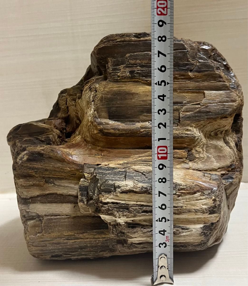 珪化木 木化石 庭石 鑑賞石 天然石 置物 インテリア 約5キロ｜Yahoo