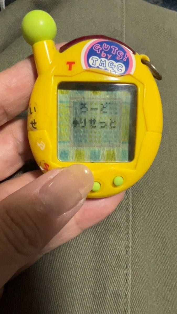 レア 超じんせーエンジョイ たまごっちプラス ちゃお30 まめっち CIAO